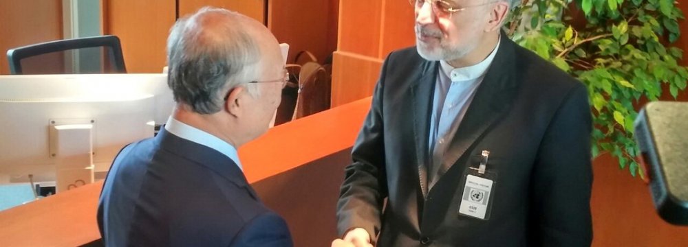 Salehi, Amano Discuss JCPOA Implementation