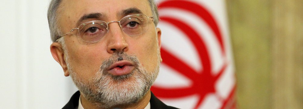 Salehi to Brief MPs on JCPOA 