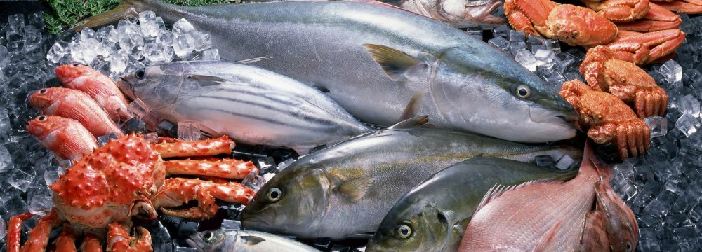 Seafood Exports Rise 15%