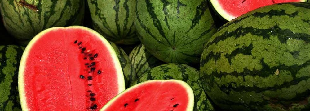 190KT of Watermelon Exported in 2 Months