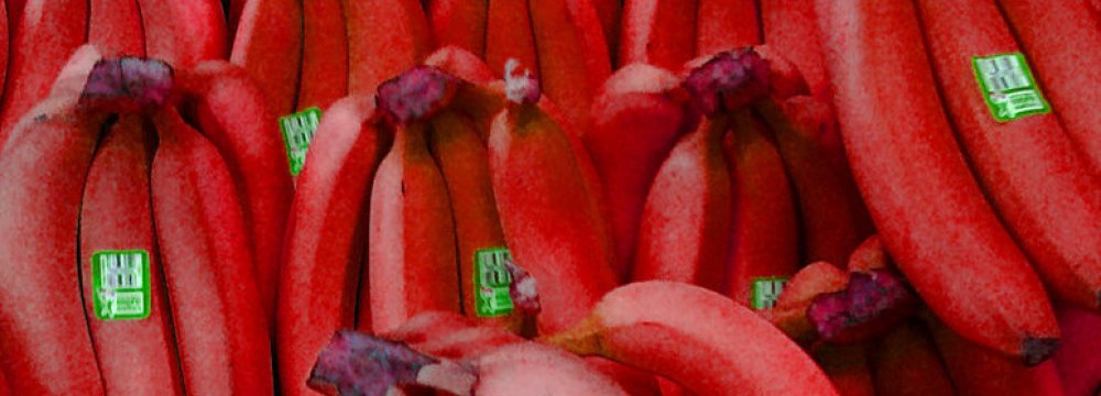 Hoax About Red Bananas Exposed