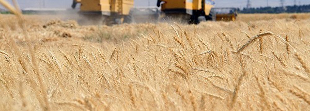 Gov’t Wheat Purchase Tops 7m Tons 