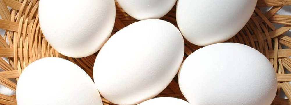 Egg Exports Decline