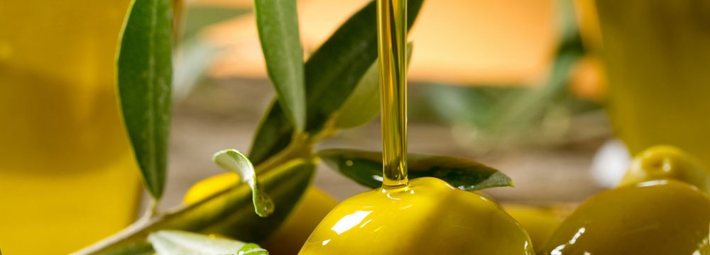 Illegal Olive Oil Imports at 7,000 Tons p.a.