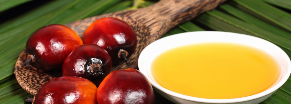 Sharp Fall in Palm Oil Imports