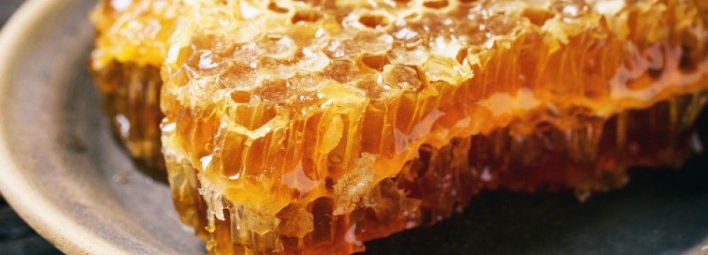 Foreign Co. May Invest in Honey Production