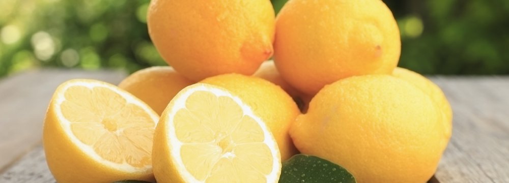 Lemon Production to Meet Domestic Demand