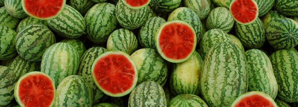 246KT of Watermelon Exported in 3 Months