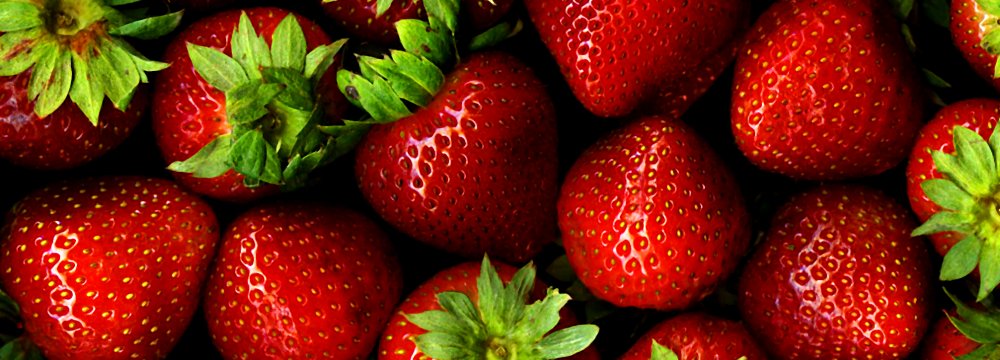 56KT of Strawberries Produced Last Year