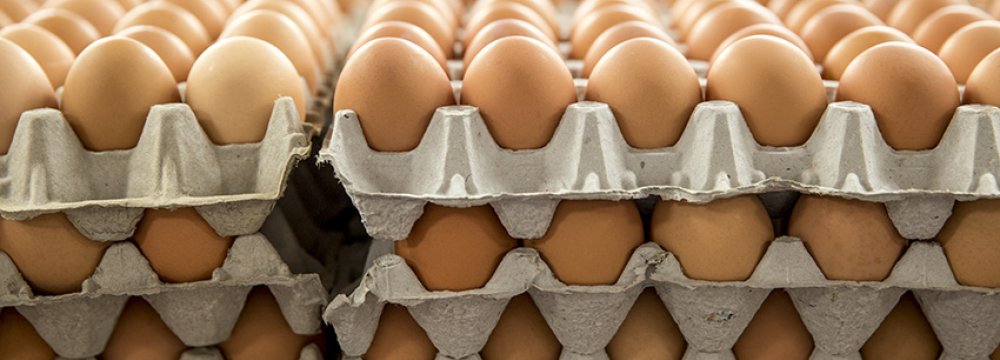 Egg Exports Stop