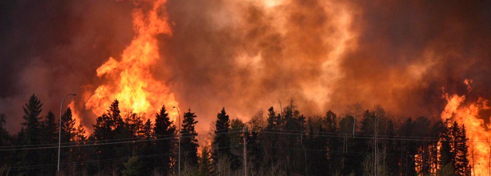 Oil Firms Warn of Output Cut After Canada Wildfires