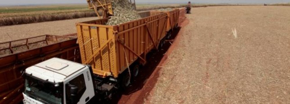 Iran Buys More Raw Sugar as Imports Gather Pace