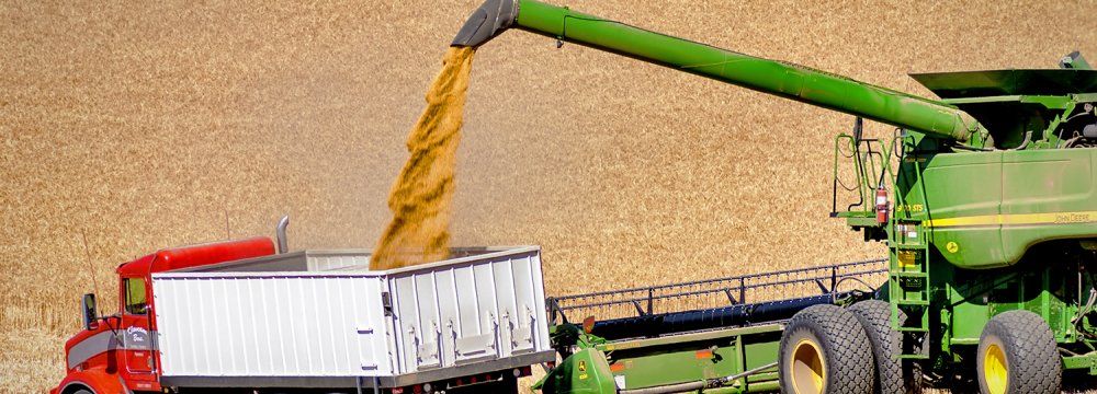 Wheat  Self-Sufficiency