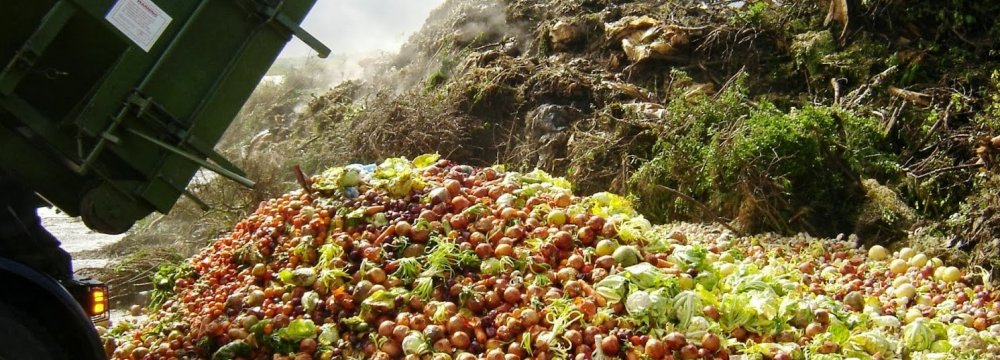 Food Waste in US Appalling