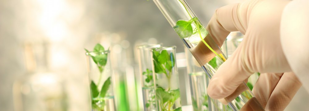 Iran-Lebanon Plant Biotech Cooperation