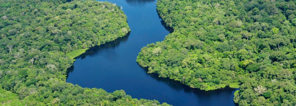 Amazon Basin Drought Stunts Earth’s Lungs