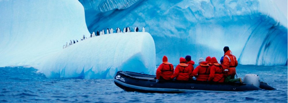 Antarctica Tourism Up 