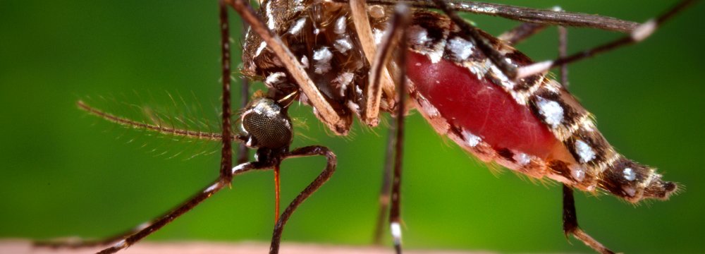 CDC Issues Zika Travel Warning in Florida