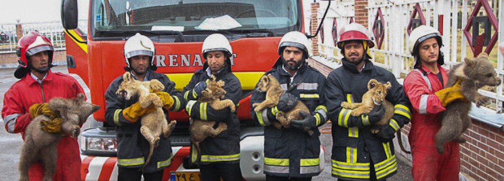 Animal Rescue Training for Tehran Firefighters