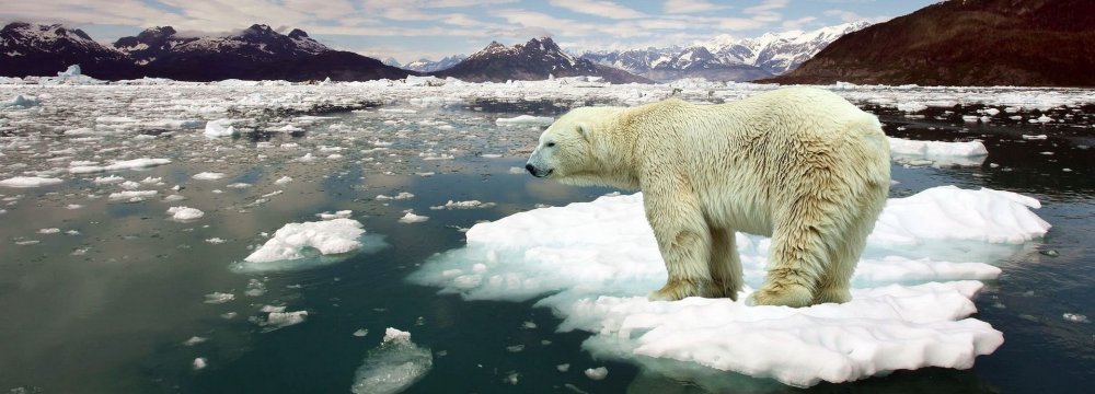 Climate Change Report Sets Challenging Task