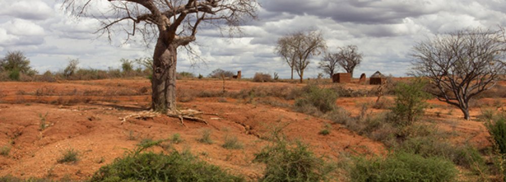 Desertification Challenging Iran, Wiping Forests