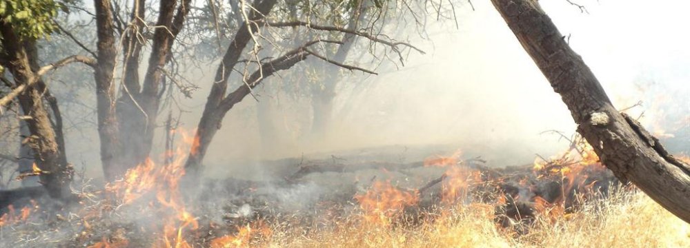 Wildfire Put Out in Yasouj