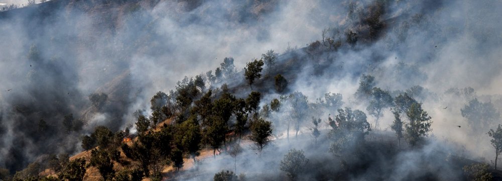 Wildfires in Zagros Forests