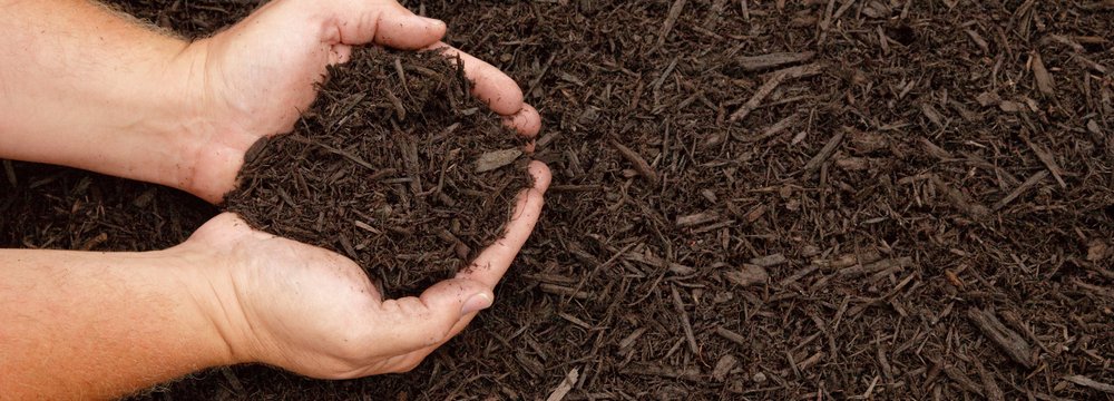 Oil Ministry Selling Mulch to DOE