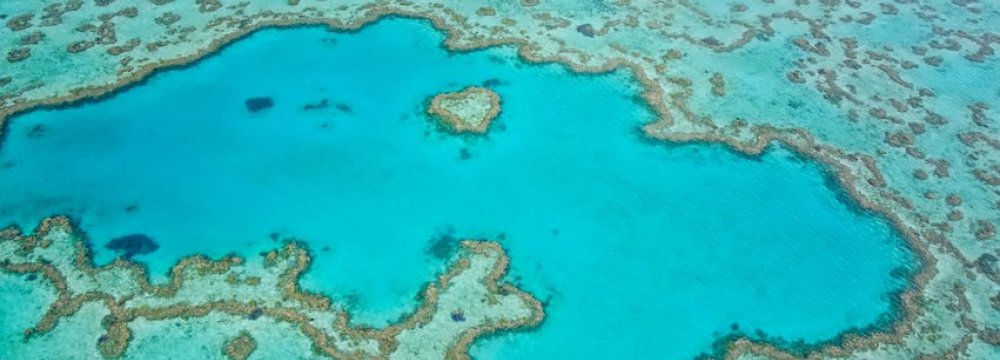 Vast Reef Found Behind Great Barrier Reef
