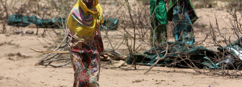 Hyenas Attack Starving Women in Somalia