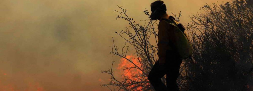 Wildfires Wreaking Havoc, Despite Preventive Measures