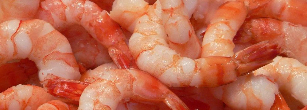 Shrimp Exports Up 10%