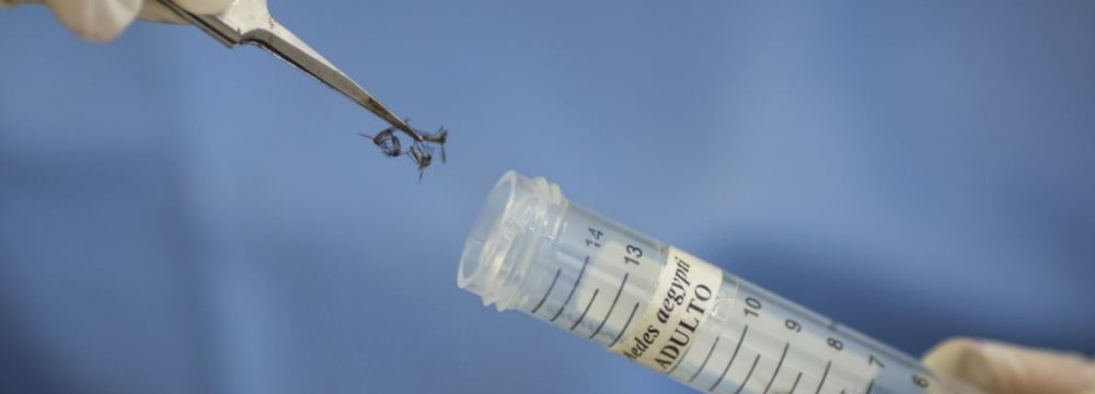 Experimental Zika Vaccine to Begin Human Testing