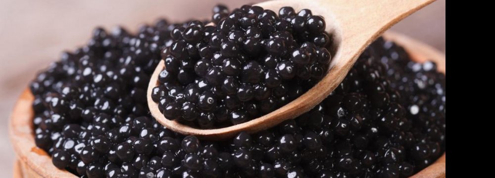 Decline in Caviar Export