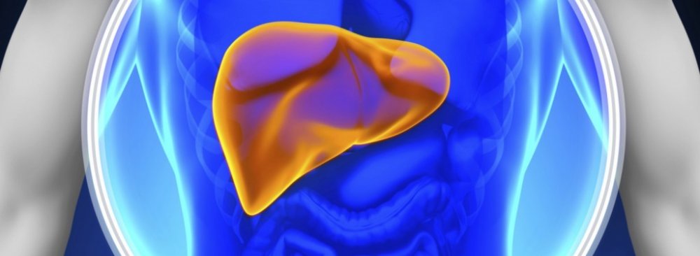 Liver Cancer Risk