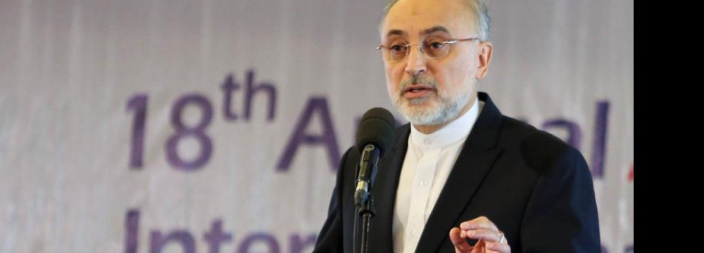 Salehi: Residual Sanctions Threaten JCPOA