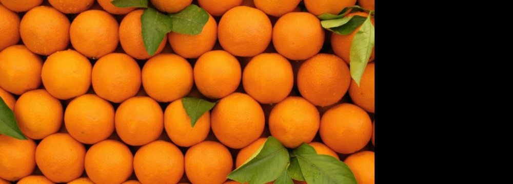 Orange Production to Reach 2.5m Tons