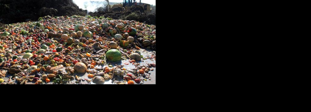 Food Waste Cost Exorbitant 