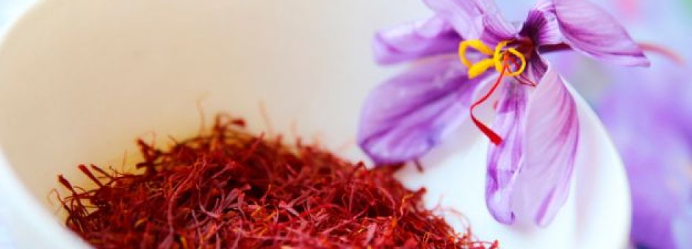 Saffron Output Estimated at 400 Tons From 90,000 Hectares