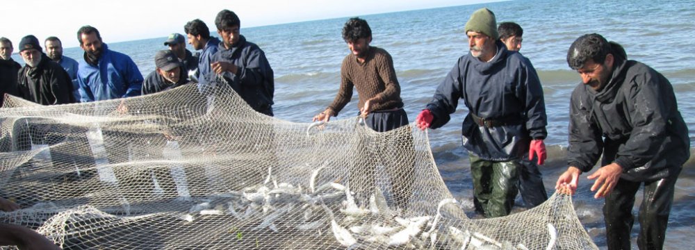 Domestic seafood production is expected to exceed 1 million tons this year. 
