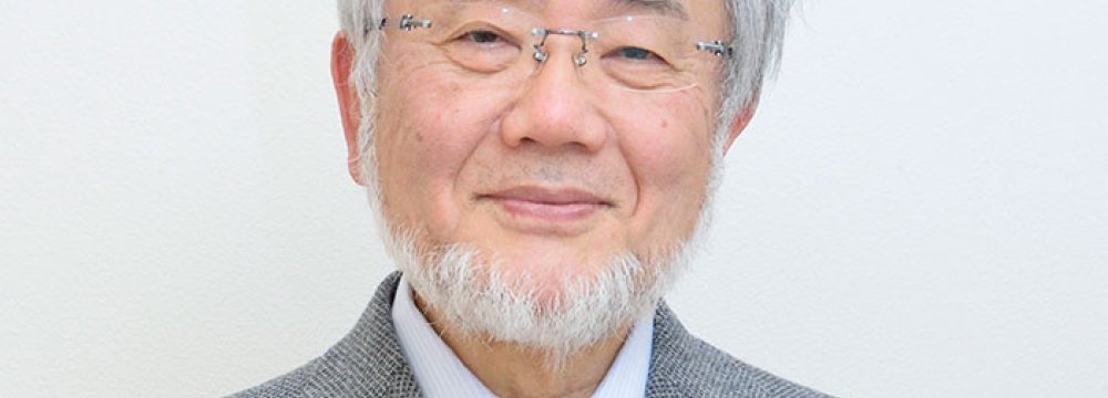 Japan Scientist Wins Nobel Medicine Prize