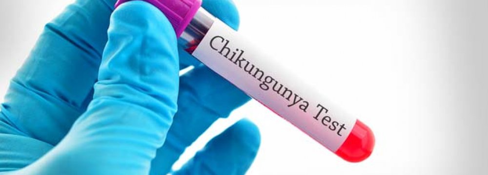 Chikungunya Outbreak in Delhi
