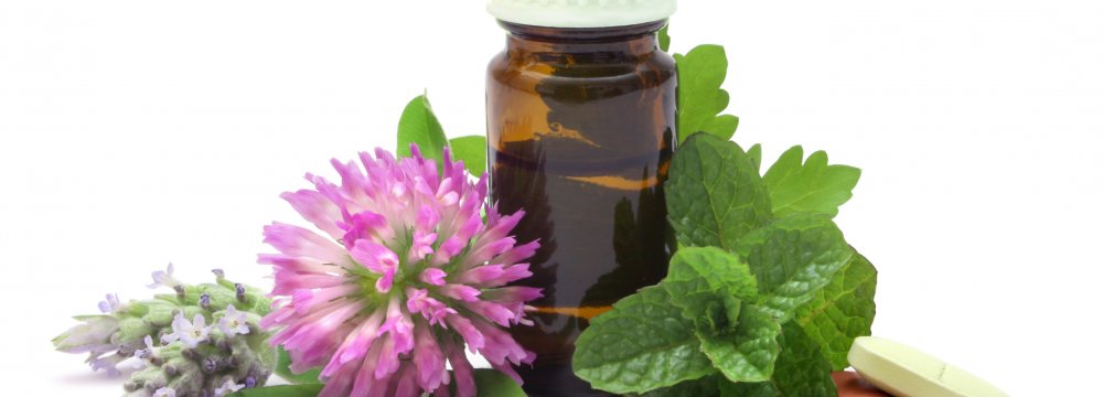 Export of Medicinal Herbs