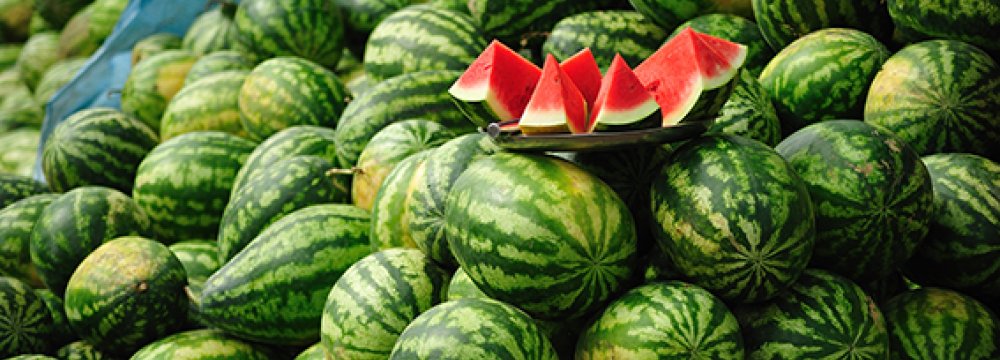 Watermelon Exports Down 