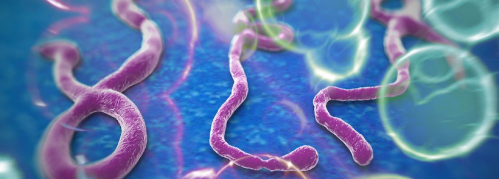 Ebola Resistance Lies in Genes