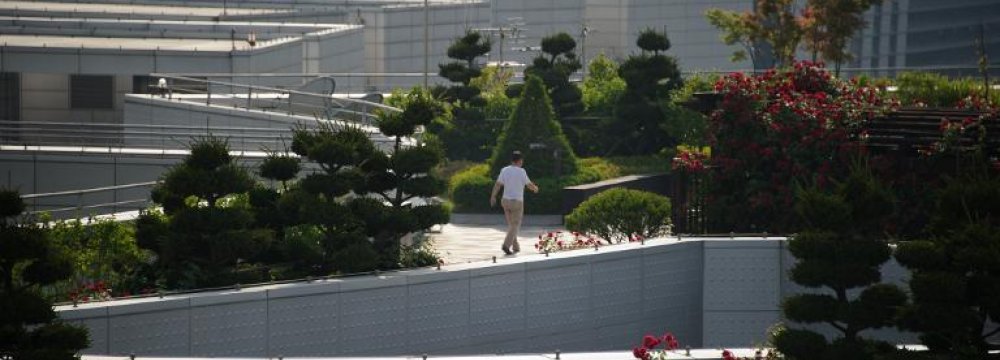 Seoul Elevates Gardening to High Art