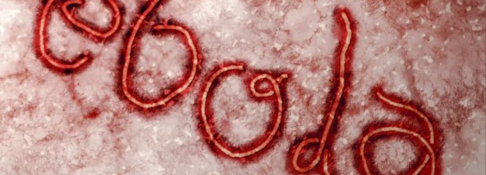Ebola Crisis ‘Likely to Last a Year’