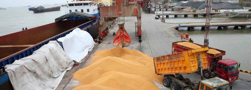 Contaminated Corns Abandoned at Imam Khomeini Port