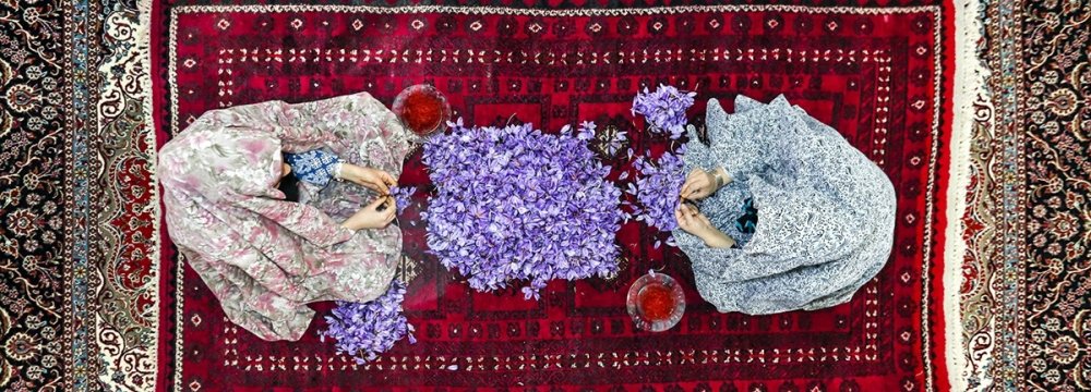 Iranian Saffron Farmers Worry Over Decline in Exports Despite Higher Output