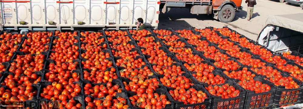 Iran Agrifood Trade Deficit Narrows